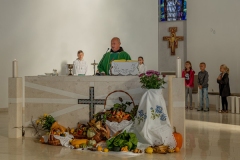 domaljevac4_web