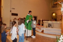 sinj1