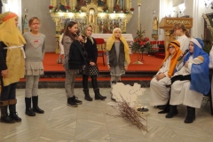 sisak_katedral